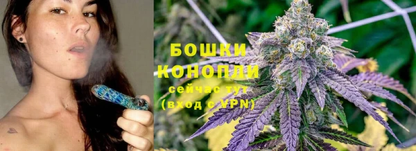 стаф Надым